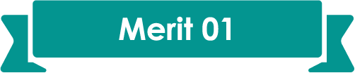 Merit 01