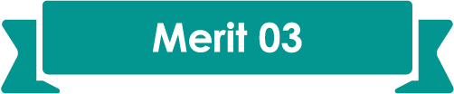 Merit 03